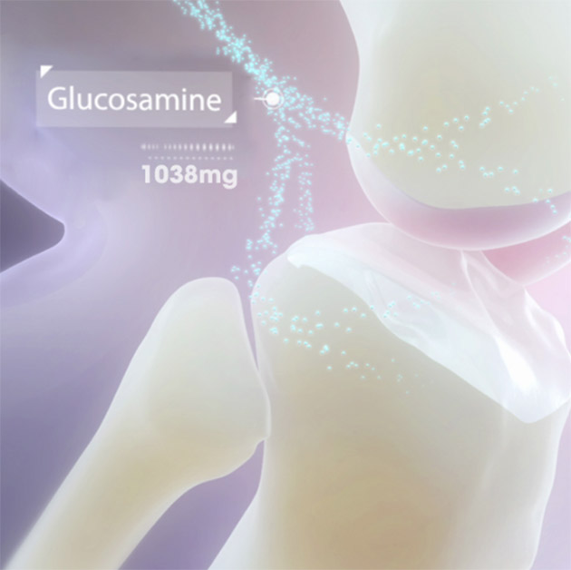 Glucosamine và chức năng bảo về các khớp