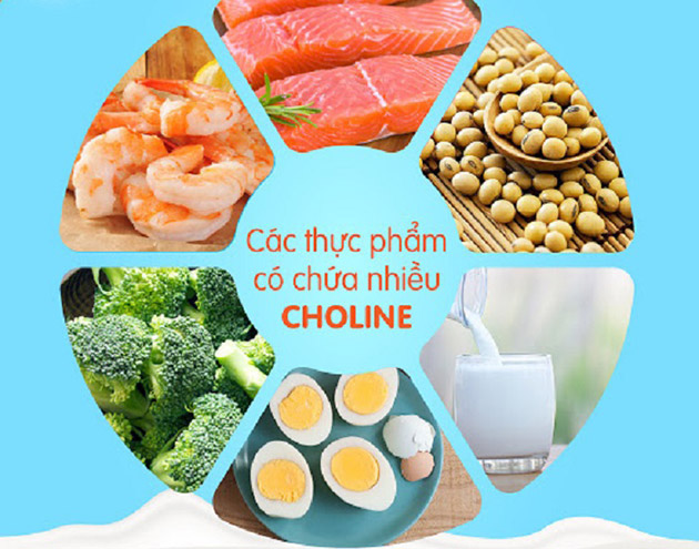 Thực phẩm chứa nhiều Choline